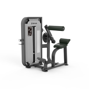 舒华背肌伸展训练器68系列健身房健身器材 SH-G6817-T18
